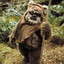 ewok0116