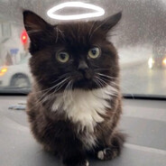 𝙺𝚘𝚙𝚎𝚛𝚗𝚒𝚔