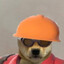 thecooldaze