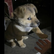 umalume | €MMIlifeisover