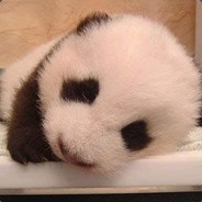 路边番茄不要采