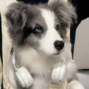 枪枪描边纯属失误