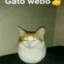 gatowebo