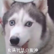 穿昆明世家 睡二环底下