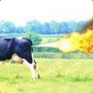 ^1AVA|^5Linebacker