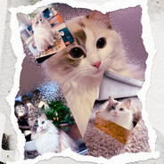 niko.*******.CASE.GIFT