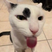 Bingleton Cootiehole