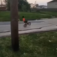 Lil Fella