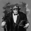 Pimp Chimp
