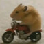 Vroom Hamster
