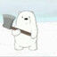 POLAR