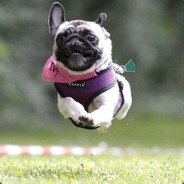 Big  Furnace hook - 大炉钩子