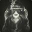 ||PT||Monkey_with_swag||PT||