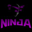 The_Inner_Ninja