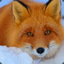 RedFox