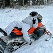 Napocony violonczelista