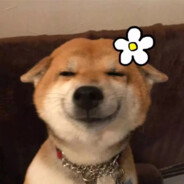 唐人街第一神探