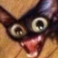 funny cat