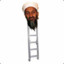 Osama Bin Ladder