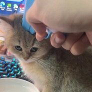 你到底在干嘛？？？