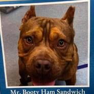 Mr. booty ham Sandwich