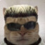 evilkitty