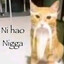hastamoronporfavor