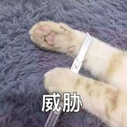 别骂了再练了