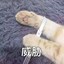别骂了再练了