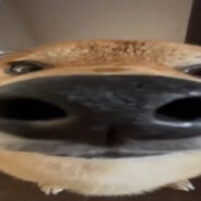 Туалет nevershiro