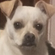 Parzerito mi perra por siempre