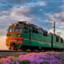 Пригородная Собака