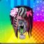 Unicornz
