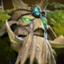 Treant Protector