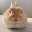 superbunny1255