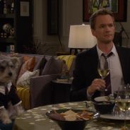 The wolf of Wall Street