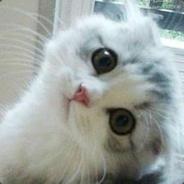 Lvqingzly