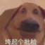 五把全赢赢十五^^