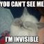 Invisible Kitten