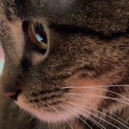 不吃火锅就吃烤匠