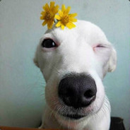 Big Avatar