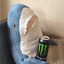 shork