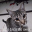 SO O BICO DO SEIO