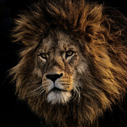 b4tuN - steam id 76561198865428976