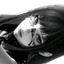 makilee