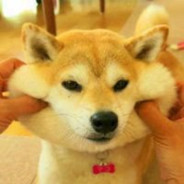 爱沙尼亚突破手