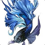 东南亚第一鬥鱼