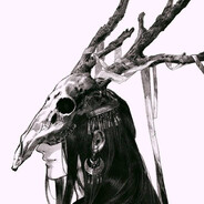 哪狐不开提纳狐