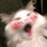 baobaota