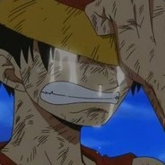 小海豹慢点跑吖